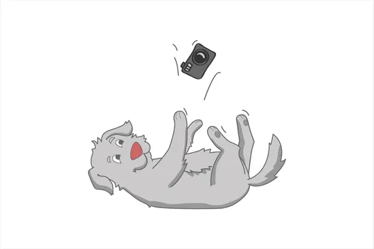 catel4